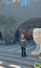 DPS Castle Of Dreams logo