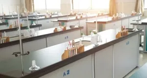 VIDYA GLOBAL SCHOOL, Vidya Knowledge Park, Meerut