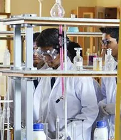 Raffles International School logo