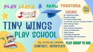 Tiny Wings Play School Sector 10A logo