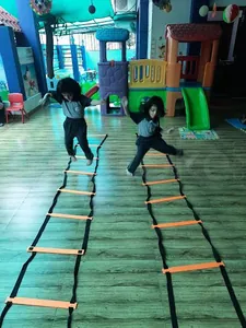 Little Millennium, Mahalaxmi Nagar, Indore