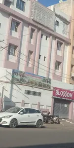 Blossom Kindergarten and Primary School logo