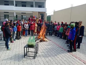 Everest Public Senior Secondary School logo