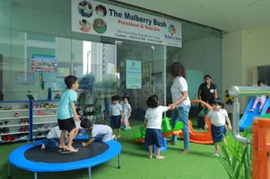 The Mulberry Bush, Manikonda Jagir, Hyderabad