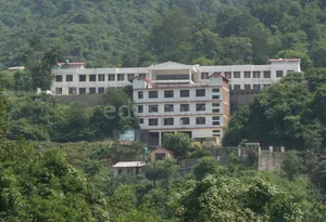 The Divine International School logo