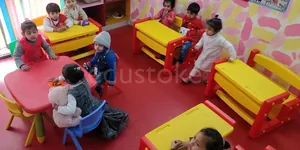 Tiny Blooms play school and daycare logo