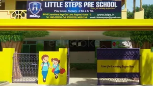 Little Steps International Pre School logo