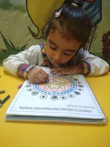 PARENT&apos;S DREAM PREPARATORY SCHOOL logo