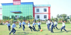HI-NESS PUBLIC SCHOOL logo