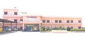 Diamond Public School logo