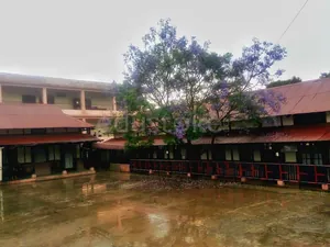 Pine Mount School logo