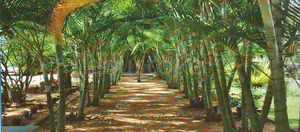 AET INTERNATIONAL PUBLIC SCHOOL logo