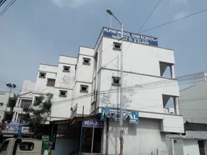 ALPHA  MODEL SCHOOL logo