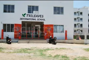 Trileaves International School logo
