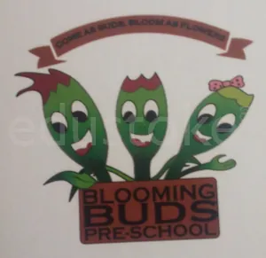 Blooming Buds Pre School Salunkhe Vihar, Salunkhe Vihar, Pune