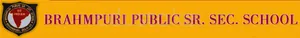 Brahmpuri Public School logo