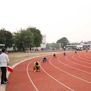 Satluj Public School, ELLENABAD  , Sirsa