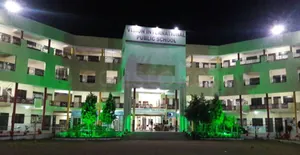 Vision International Public School logo