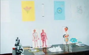 Singhpura International School logo