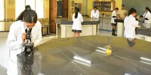 DELHI PUBLIC SCHOOL logo