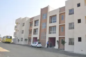 DY Patil International logo