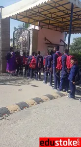 Diamond English School logo