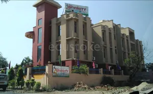 DIVINITY INTL SCHOOL logo