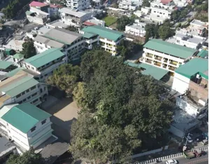 ANN MARY SCHOOL logo