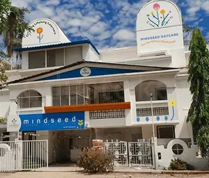 Mindseed Preschool &amp; Daycare, Mahim, Mumbai