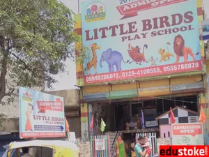 LITTLE BIRDS PLAY SCHOOL logo