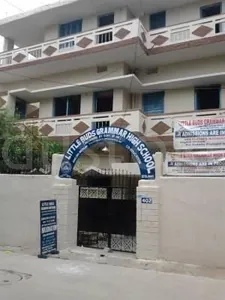 Little Buds Grammer High School logo