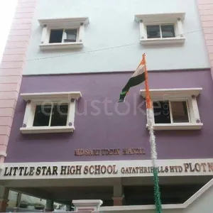 LITTLE STAR HIGH SCHOOL logo