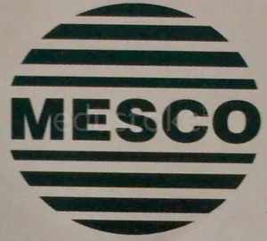 Mesco Grades High School logo