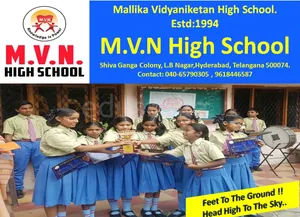 MVN High School logo