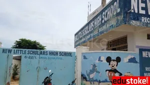 New Little Scholar School logo