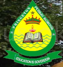 PRINCETON PUBLIC SCHOOL logo