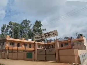 S B HIGH SCHOOL logo