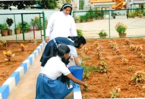 ST. ANTONYS HIGH SCHOOL logo