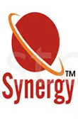 SYNERGY SCHOOL logo