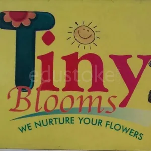 TINY BLOOMS PLAY SCHOOL logo