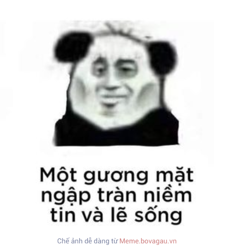 Meme Gấu Trúc là gì? Tại sao Meme Gấu Trúc lại được yêu thích? Tổng hợp ...