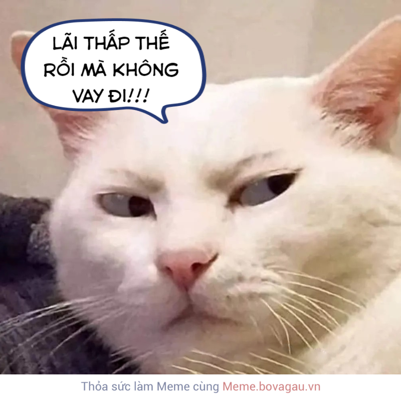 Lãi vay mua nhà xuống 'đáy', vì sao người dân vẫn thờ ơ? (Bài viết của ...