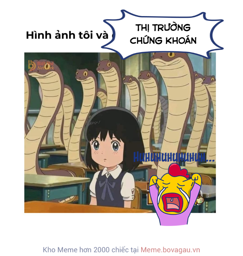 toàn mấy mã cổ phiếu rắn độc
