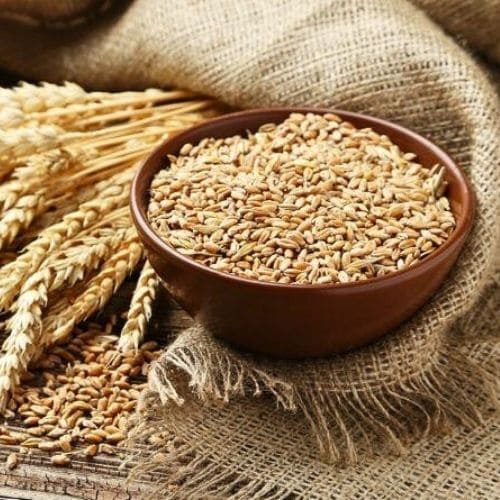 Thị trường lúa mì ngày 2/1/2025