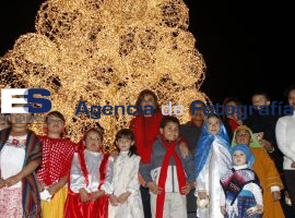 Arbol de Navidad Ayuntamiento - ES imagen agencia de fotografía