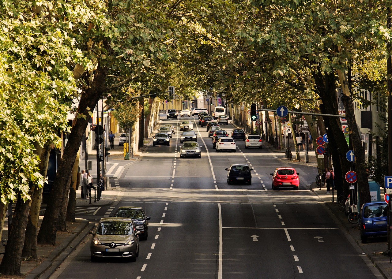 route urbaine avec des arbres