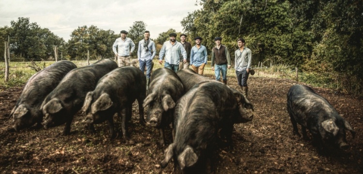 cochons-noirs-elevage Gueuleton