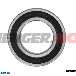 Hjullager 6007 2RS; 35x62x14