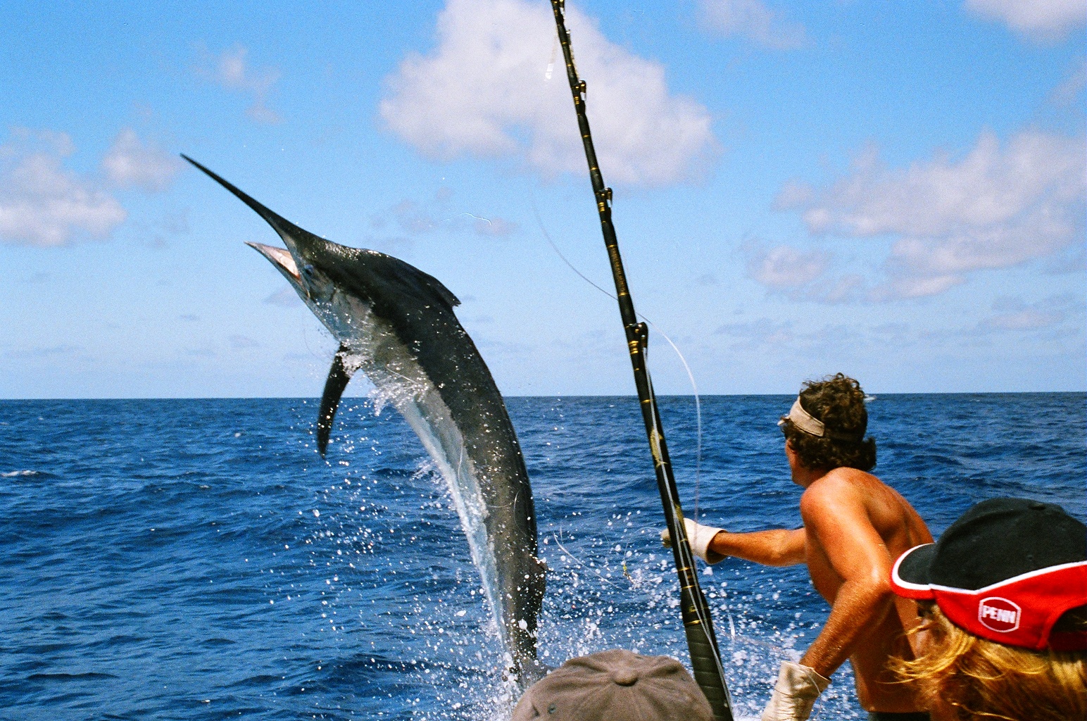 Marlin fight their way into memorable family fishing trip