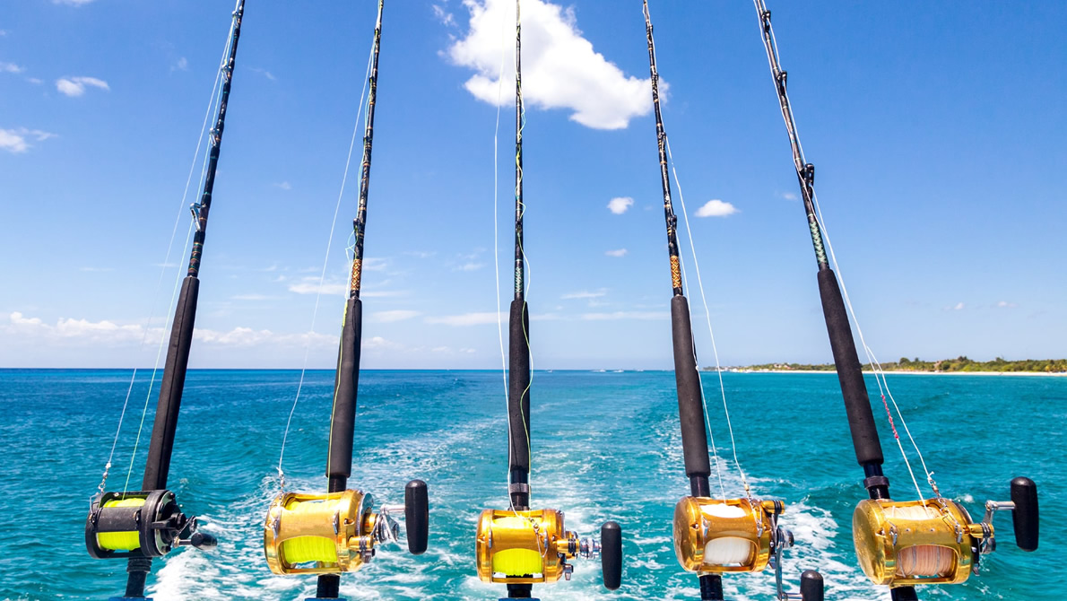 Used Fishing Line for Sea Fishing in Pile. Stock Image - Image of